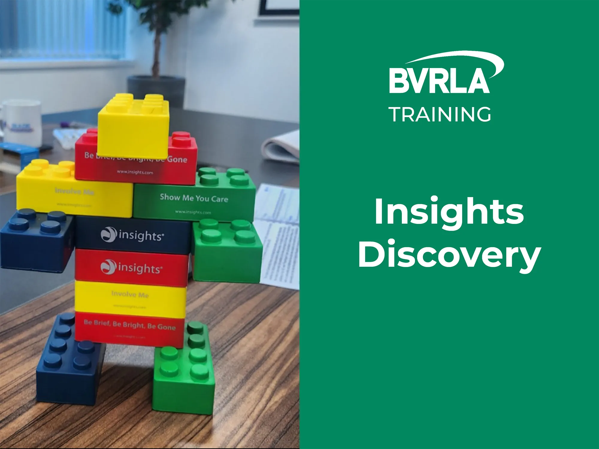 Lego Bricks - Insights Discovery